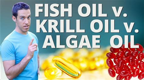 krill oil vs algae oil.